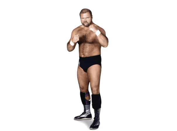 Arn Anderson