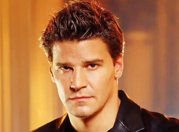 David Boreanaz