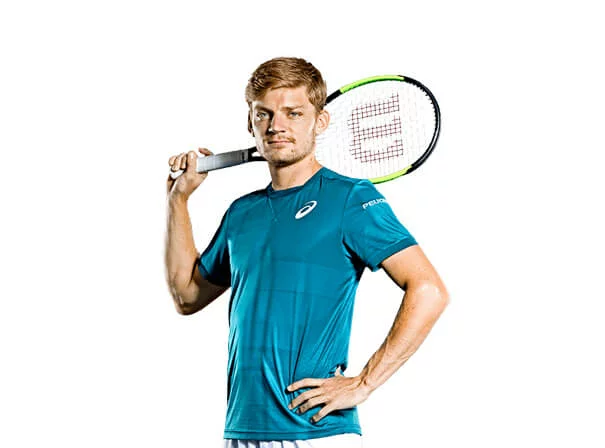 David Goffin