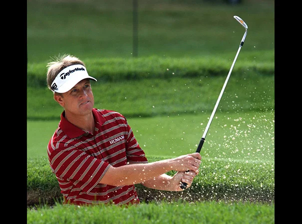 David Toms