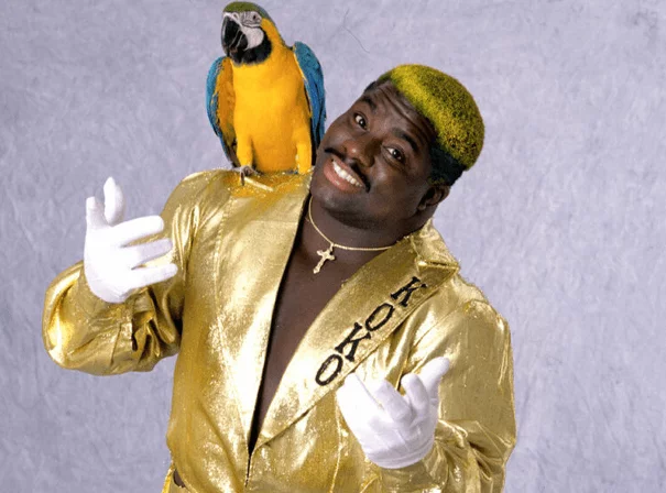 Koko B Ware The Birdman