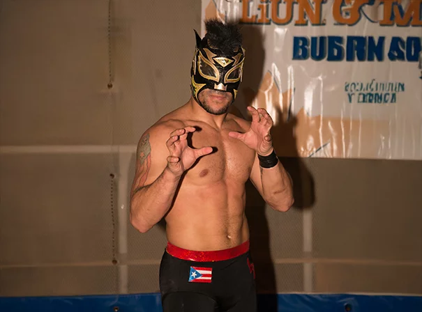 Lince Dorado