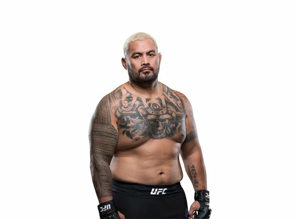 mark hunt